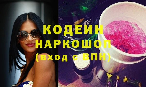 крисы Бородино