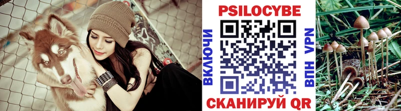 Псилоцибиновые грибы Magic Shrooms  где продают наркотики  Кимры 