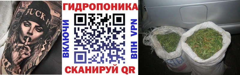 продажа наркотиков  Кимры  Шишки марихуана AK-47 